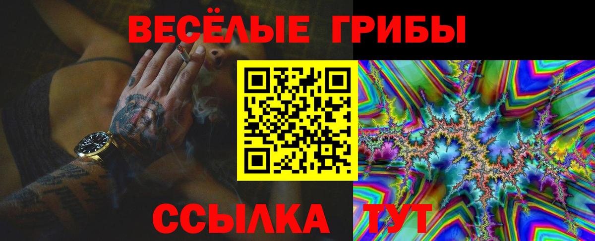 Псилоцибиновые грибы прущие грибы Октябрьский